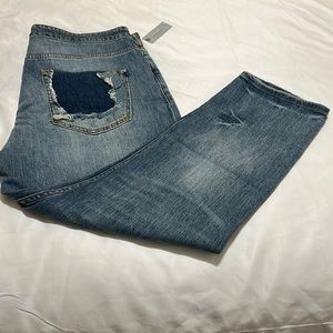 NWT Anthropologie Pilcro The Heritage Boyfriend Jeans size 31P